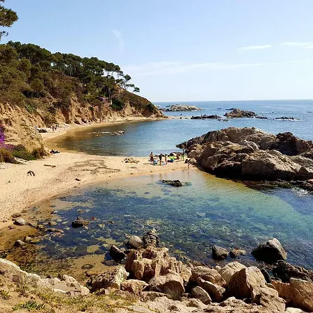 Superior Garoina Palamos